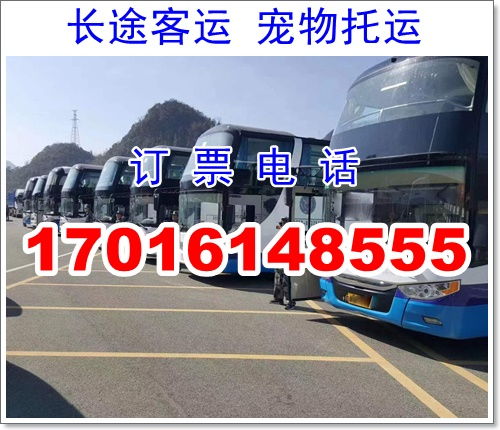 苏州到汉中汽车电话多少 苏州到汉中汽车电话多少