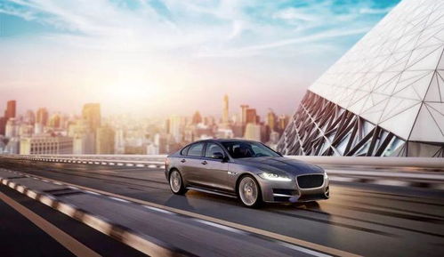 厦门有多少曹操汽车