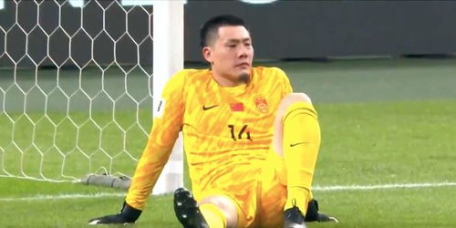 王大雷\下蛋\断送国足希望