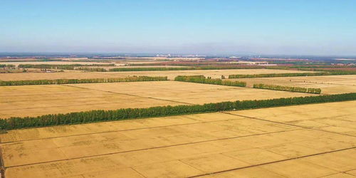 巨野汽车二队多少亩耕地