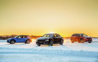 领克汽车大保养多少钱