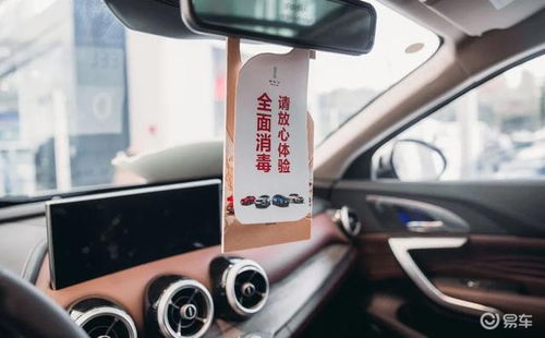 汽车干忧器多少钱