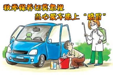 汽车自己保养多少天