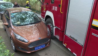 汽车多少米不能停