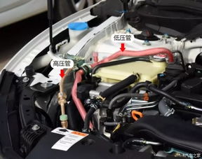 汽车加氟一般多少钱 汽车加氟一般多少钱