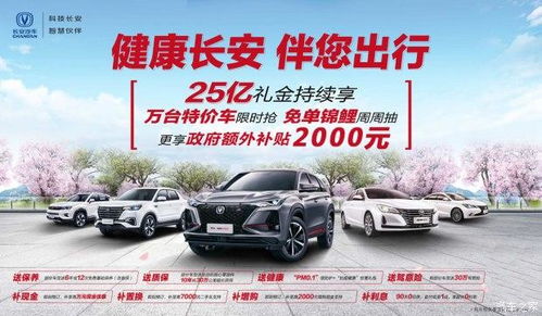 长安汽车额外补贴多少