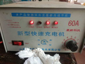 汽车电瓶冲电多少安合适