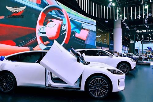 大运新能源汽车多少钱