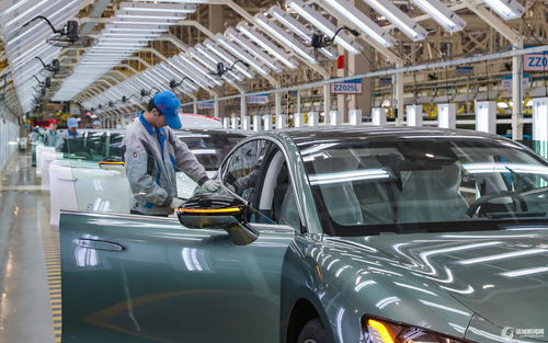 大运新能源汽车多少钱