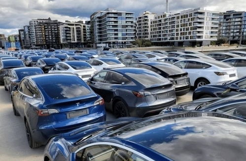 上海汽车上牌照多少钱