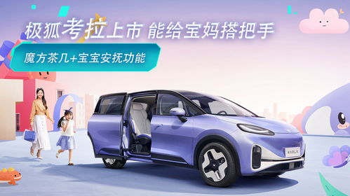 婴儿能汽车的价钱是多少