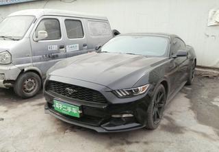 新疆坐汽车多少钱