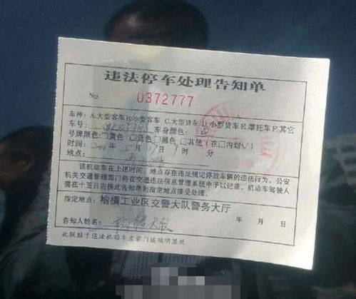 汽车罚单交多少钱啊