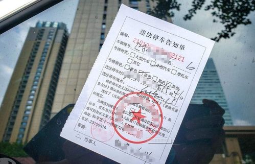 汽车罚单交多少钱啊