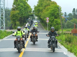 德宏汽车限速多少公里 德宏汽车限速多少公里