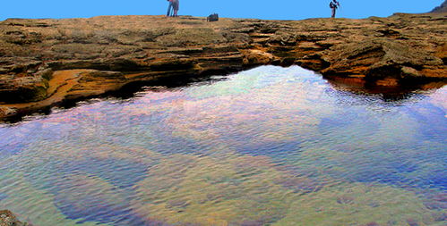 涠洲岛汽车轮渡多少钱
