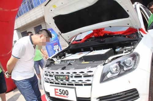 u能电动汽车多少钱