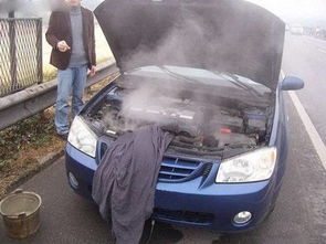 汽车的水箱有多少水分