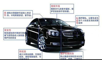 龙牌汽车膜多少钱
