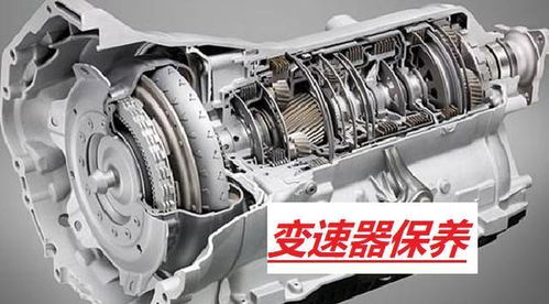 汽车多少岁保养最好