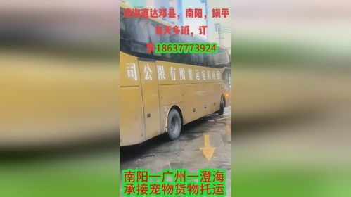 信阳到南阳汽车多少钱