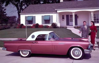 雷鸟汽车多少钱