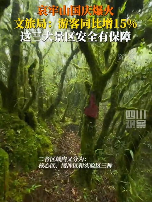 安徽网红树被农户砍掉?当地回应