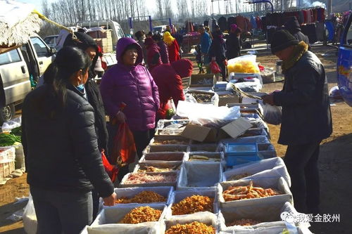 广东一地多店售卖老鼠干 广东一地多店售卖老鼠干
