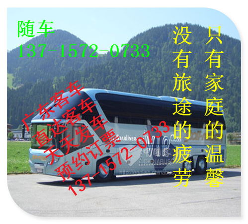 佛山到镇雄汽车多少钱