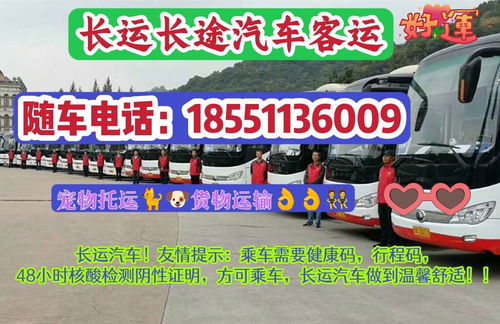 汽车刻碟多少钱