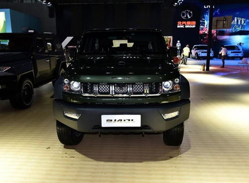 黑犳柴油汽车多少钱