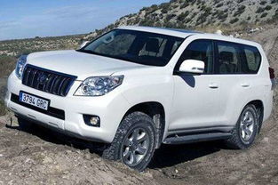 黑犳柴油汽车多少钱