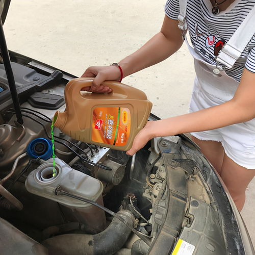 汽车更换冷冻液多少钱