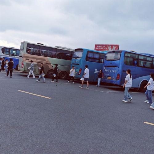 砀山到单县的汽车多少钱