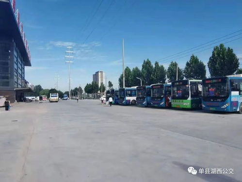 砀山到单县的汽车多少钱