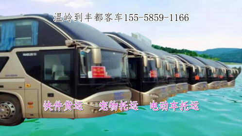 德州到奉节汽车多少钱