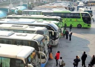 汽车站共开多少辆车