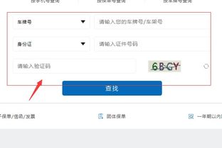 怎查询汽车共买多少保险