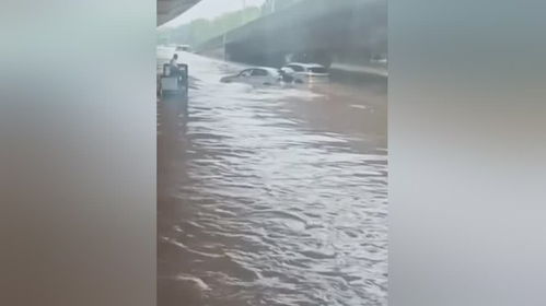 郑州暴雨多少辆汽车