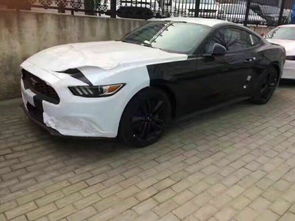 中国野马汽车多少钱