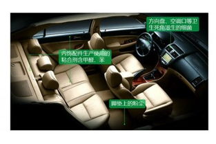 汽车除甲醛公司价格多少