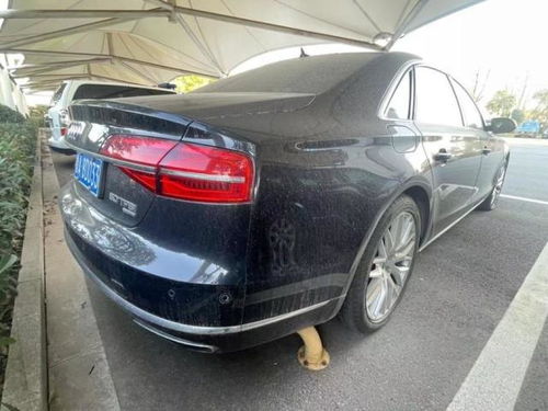 扬州市汽车多少辆