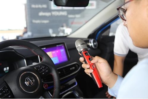 汽车高低音设置多少