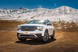 中国有多少汽车品牌