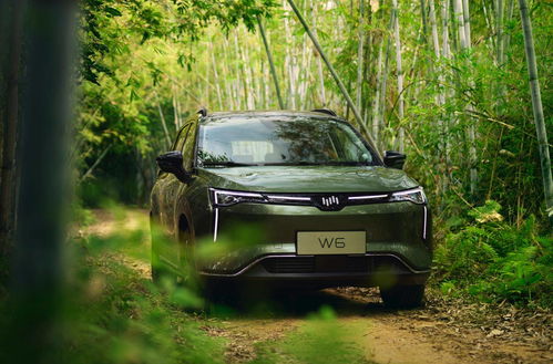 10万汽车要交多少税收