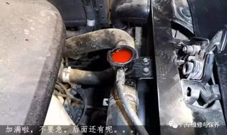 换汽车水箱多少钱