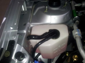 换汽车水箱多少钱