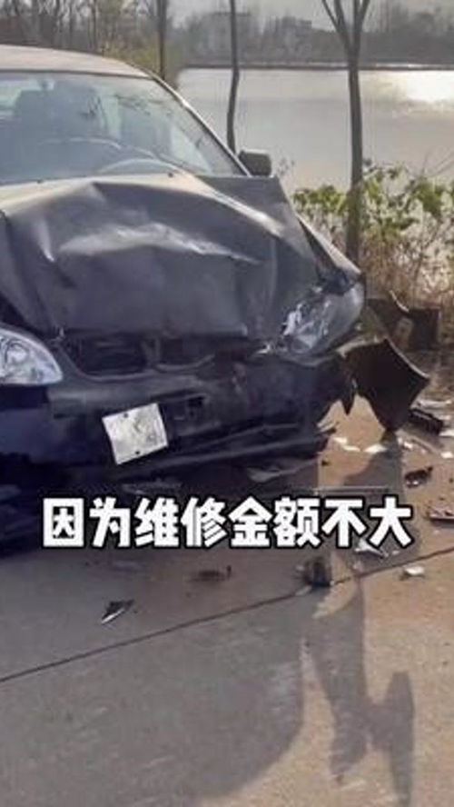 汽车碰到猪头赔多少 汽车碰到猪头赔多少