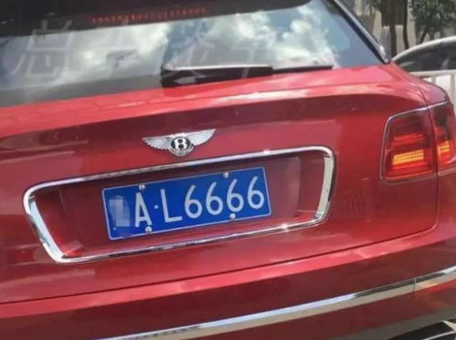 汽车牌照定做多少钱