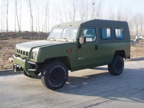 勇士汽车多少钱